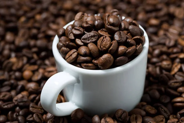 Xícara branca em grãos de café, foto conceito, close-up — Fotografia de Stock