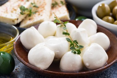 Taze mozzarella peyniri bir plaka üzerinde yakın çekim