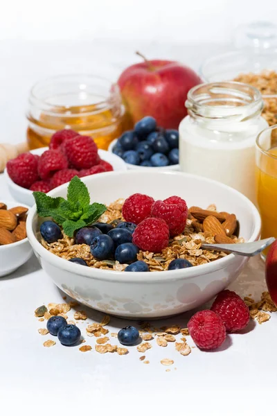 Здоровый завтрак. мюсли, свежие ягоды и фрукты — стоковое фото