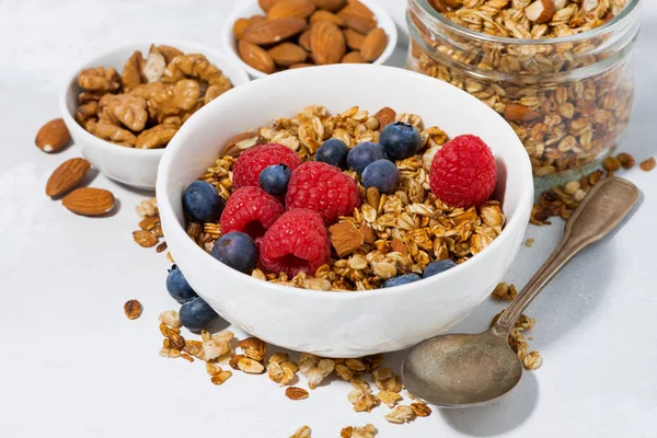 Requesón con granola y bayas frescas para el desayuno — Foto de Stock