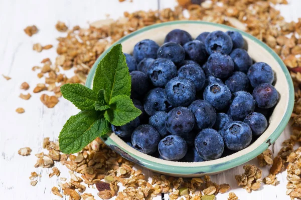 Fresh juicy blueberries and homemade granola — 스톡 사진