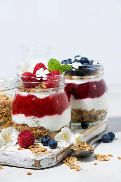 Desserter med müsli, bär och fruktpuré i burkar — Stockfoto