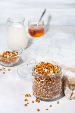 Beyaz arka planda hindistan cevizi ve fındıklı ev yapımı granola.