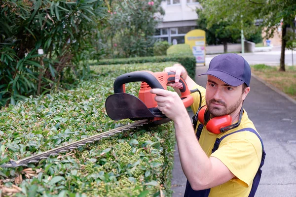 Tuinman met behulp van een hedge clipper in de tuin — Stockfoto