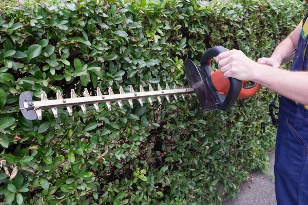 Tuinman met behulp van een hedge clipper in de tuin — Stockfoto