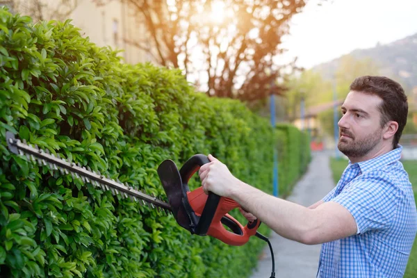 Hobbyist gardner usando un cortador de setos en el jardín del hogar —  Fotos de Stock