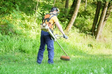Profesyonel bahçıvan ev bahçesinde bir kenar düzeltici kullanarak