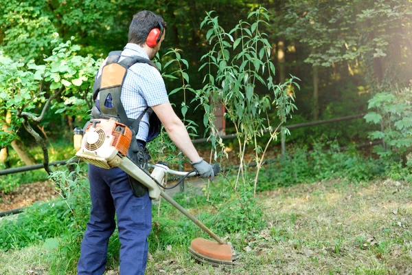 Jardineiro profissional usando um aparador de borda no jardim em casa — Fotografia de Stock