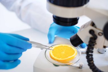 Örnek ogm meyve modern laboratuvar eğitim araştırmacı