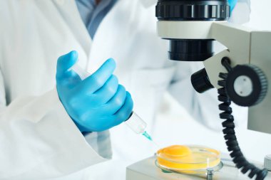 Yumurta ve kuş gribi kontrol test