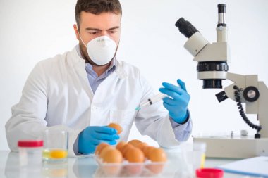 Taze yumurta örnek kalite kontrol laboratuvar mikroskop kuş gribi hakkında