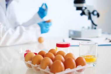 Kuş gribi hakkında GDO yumurta kalitesini analiz Beyaz önlük giyen araştırmacı
