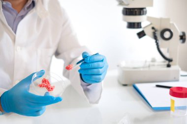 Beyaz önlük GDO et örnek kalitesini analiz araştırmacı