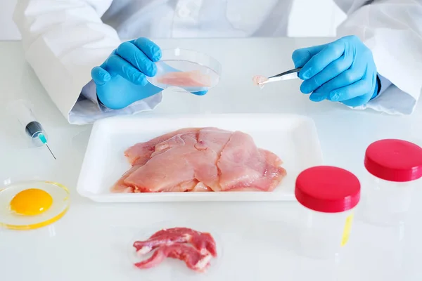 Образец свежего красного мяса в руках ученых в лаборатории контроля качества — стоковое фото