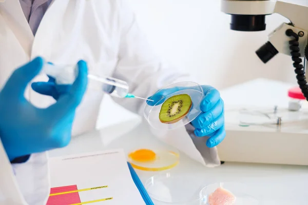 Образец фруктов Kiwi в научных руках в лаборатории контроля качества — стоковое фото