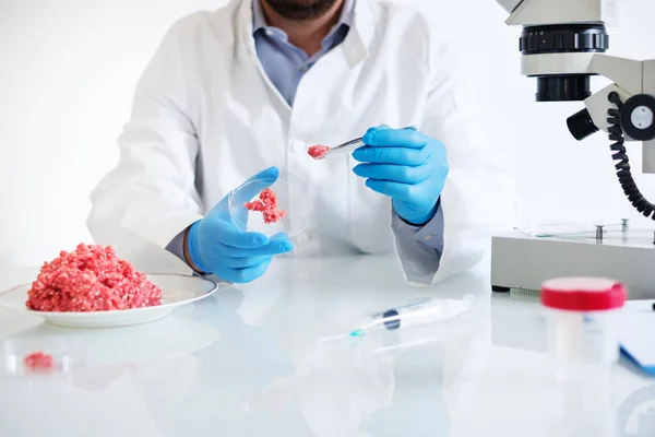 Researcher in white coat analyzing quality of GMO meat sample — Stock Photo, Image