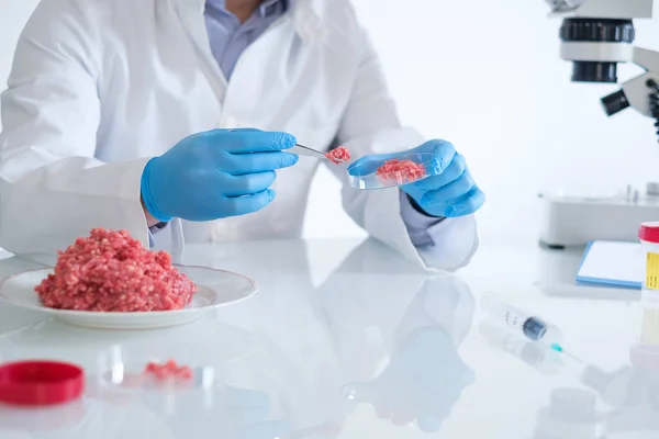 Researcher in white coat analyzing quality of GMO meat sample — Stock Photo, Image