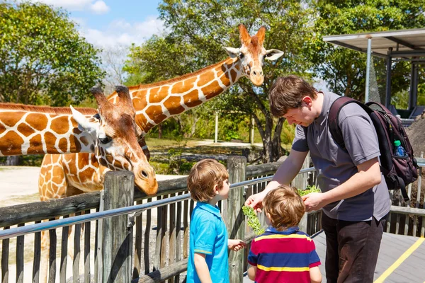 Zwei kleine Kinder Jungen und Vater beobachten und füttern Giraffe in — Stockfoto