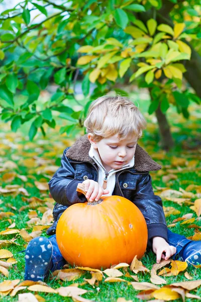 Kleine peuter jongen jongen met grote pompoen in tuin — Stockfoto