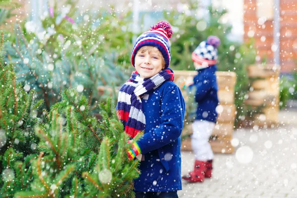 Два маленьких мальчика покупают рождественскую елку в наружном магазине — стоковое фото