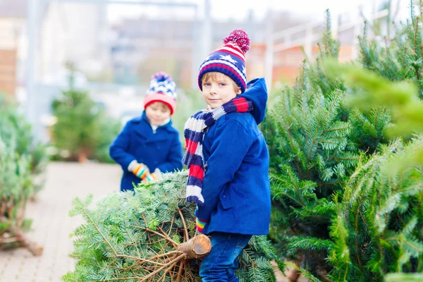 アウトドアショップでクリスマスツリーを買っている2人の子供 — ストック写真