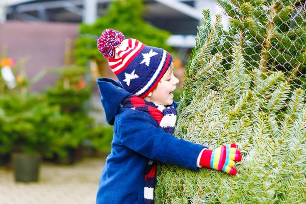 Hermoso niño sonriente sosteniendo el árbol de Navidad —  Fotos de Stock