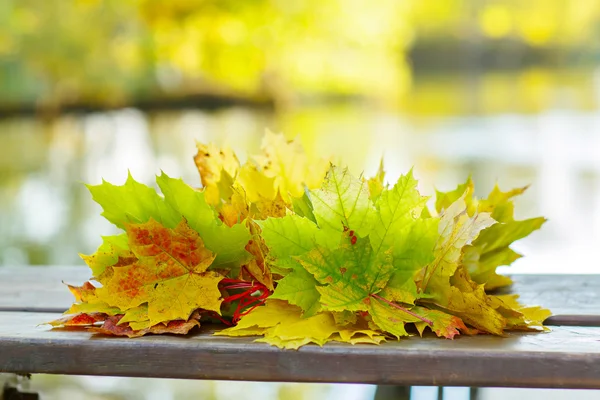 En färgglad krans av hösten lämnar av lönn. — Stockfoto