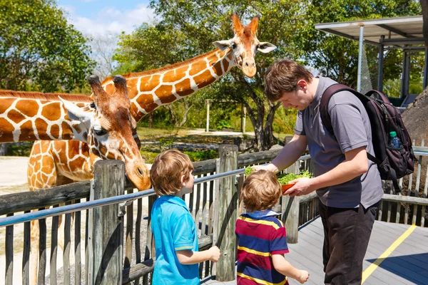 Twee kleine kids jongens en vader kijken en giraffe in voeding — Stockfoto
