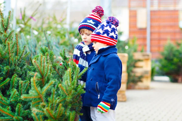 Deux petits garçons d'enfant achetant l'arbre de Noël dans la boutique extérieure — Photo