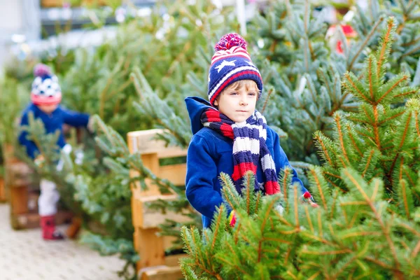Dva malí kluci kupovat vánoční stromeček v obchodě venku — Stock fotografie