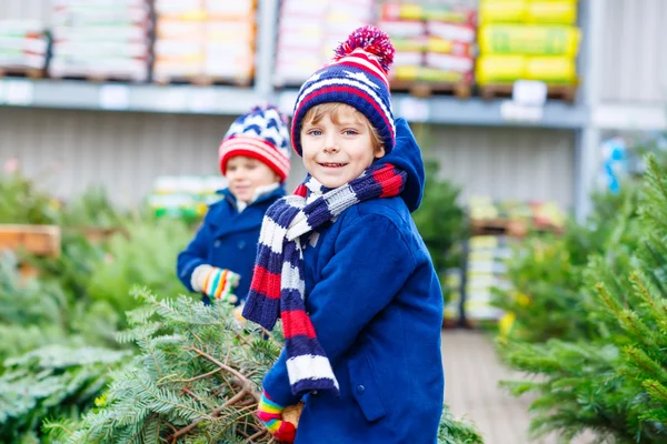 Dos niños pequeños comprando árbol de Navidad en la tienda al aire libre —  Fotos de Stock