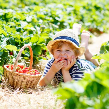 Çiftlikte, açık havada çilek toplama küçük çocuk çocuk.
