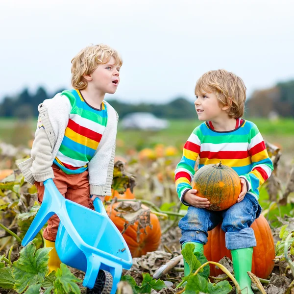 Dos niños pequeños con calabazas grandes en el parche — Foto de Stock