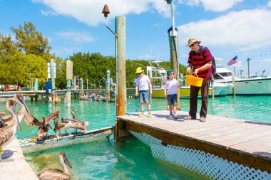 Baba ve iki küçük balıklar ve pelikanlar besleme çocuklar çocuk