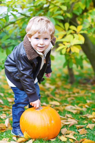 Menino criança menino com grande abóbora no jardim — Fotografia de Stock