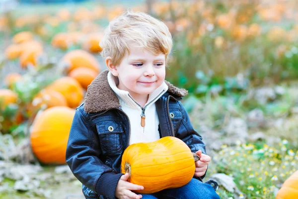 Kleine peuter jongen jongen met grote pompoen in tuin — Stockfoto