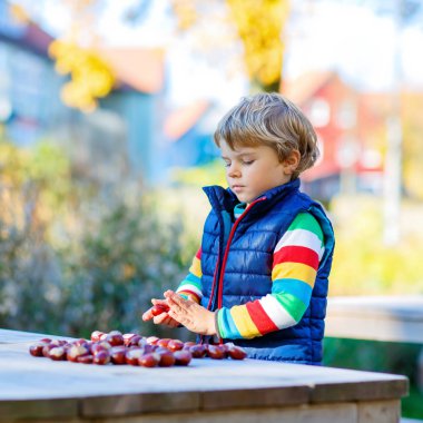 kestane sonbahar Park ile oynayan küçük sarışın çocuk.