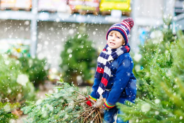 Szép, mosolygós kisfiú karácsonyfa gazdaságban — Stock Fotó