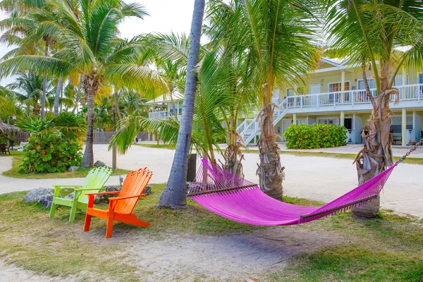 Station tropicale avec chaises longues et hamacs — Photo