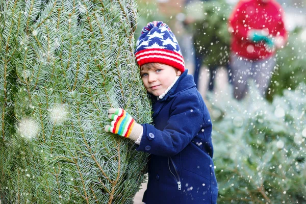 Beau petit garçon souriant tenant arbre de Noël — Photo