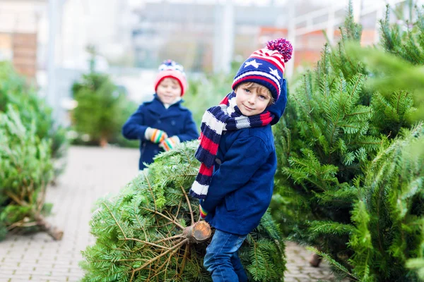 Két kisfiú vesz karácsonyfát a szabadtéri boltban. — Stock Fotó