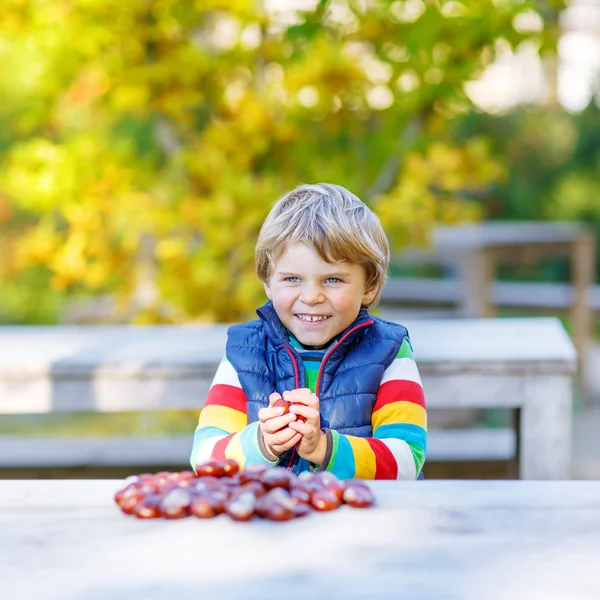 Malý blonďatý kluk hraje s kaštany v podzimním parku. — Stock fotografie