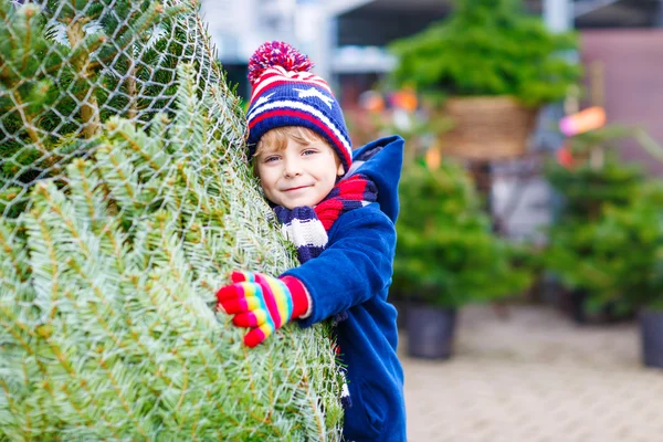 Bonito menino sorridente segurando árvore de Natal — Fotografia de Stock