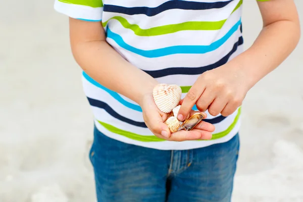 Little kid boy having fun with collecting shells — Stock Photo, Image