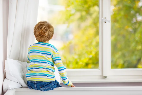 Little kid boy seduto vicino alla finestra e guardando gli alberi autunnali — Foto Stock