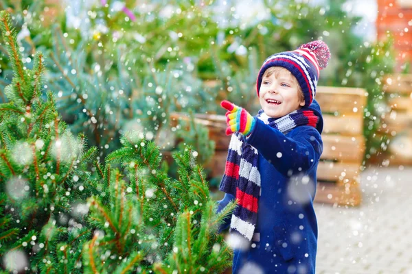 Beautiful smiling little boy holding christmas tree — Stock Photo, Image