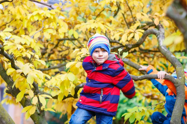 Μικρό παιδί αγόρι με πολύχρωμα ρούχα απολαμβάνοντας αναρρίχηση στο δέντρο σε φθινοπωρινή μέρα — Φωτογραφία Αρχείου