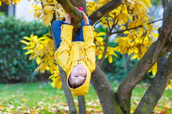 Kleiner Junge in bunten Klamotten genießt am Herbsttag das Klettern auf Baum — Stockfoto