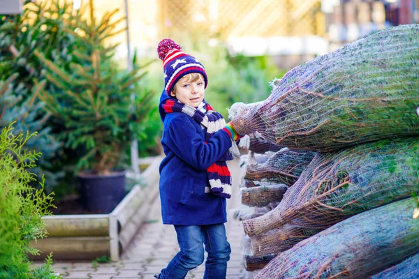 美丽微笑的小男孩抱着圣诞树 — 图库照片