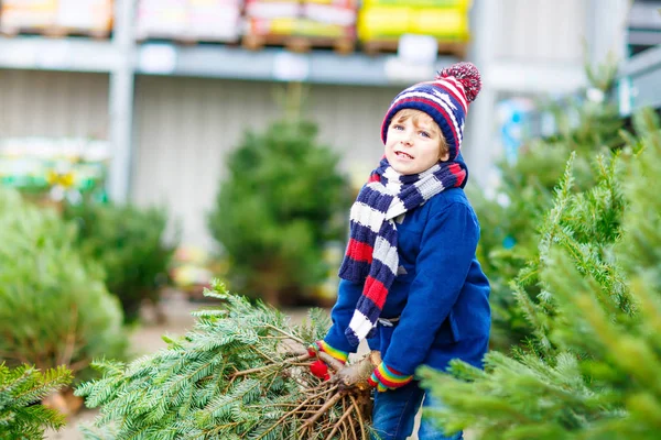 Schöner lächelnder kleiner Junge mit Weihnachtsbaum — Stockfoto